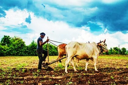 महाराष्ट्रातील एका शेतकऱ्याने मागितले 6.6 कोटी कर्ज, शेतीसाठी नाही, हेलिकॉप्टर घेण्यासाठी एवढे पैसे लागतात