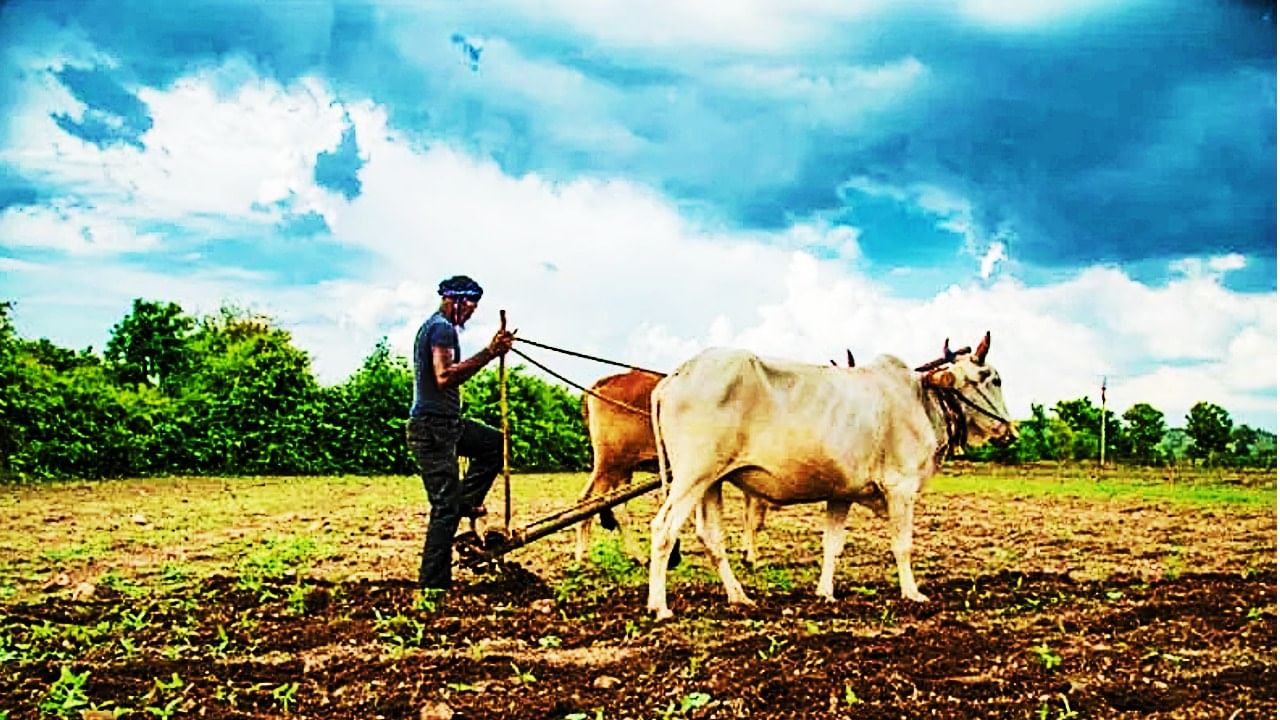 महाराष्ट्रातील एका शेतकऱ्याने मागितले 6.6 कोटी कर्ज, शेतीसाठी नाही, हेलिकॉप्टर घेण्यासाठी एवढे पैसे लागतात