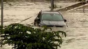 Maharashtra Rain: मुंबई, पुणे, सातारा, पालघरमध्ये मुसळधार पाऊस, हवामान खात्याचा अंदाज;  महाराष्ट्रात आतापर्यंत ९९ जणांचा मृत्यू झाला आहे