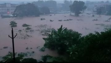 महाराष्ट्र पाऊस : महाराष्ट्रातील ठाणे जिल्ह्यात पावसाने घेतला 5 बळी, पाच जण पुरात वाहून गेले