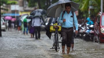 वेदर अलर्ट : महाराष्ट्रात पुढील तीन दिवस पुन्हा मुसळधार पाऊस, येत्या २४ तासांत २४ जिल्ह्यांमध्ये अलर्ट जारी