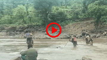 Video: निष्पापांचा जीव धोक्यात, शाळेत जाण्यासाठी खांद्यावर नदी पार