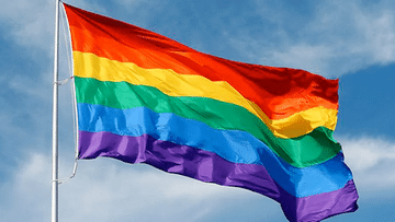 LGBTQIA+ समुदायासाठी भागीदार शोधणे आता सोपे आहे, या अॅपसह तुमची परिपूर्ण जुळणी शोधा